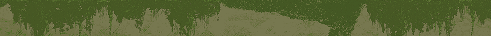 Emblem Banner