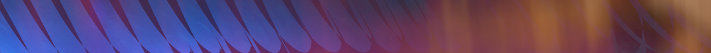 Emblem Banner