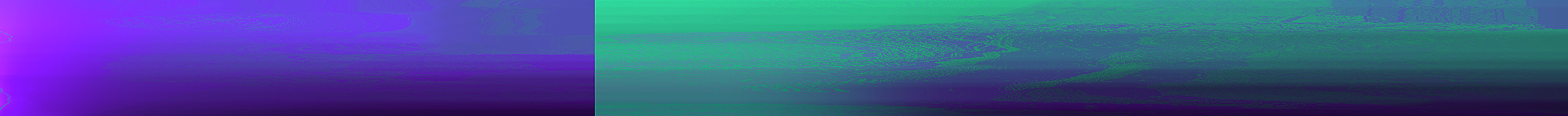 Emblem Banner