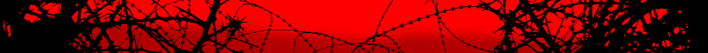 Emblem Banner