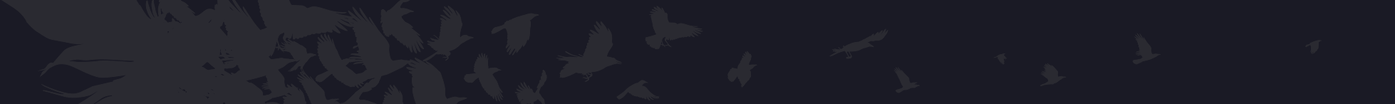 Emblem Banner
