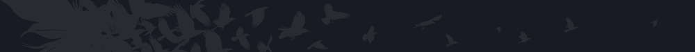 Emblem Banner