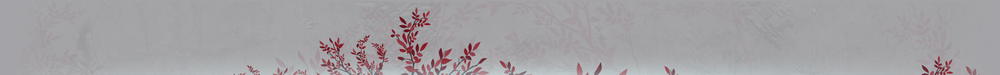 Emblem Banner