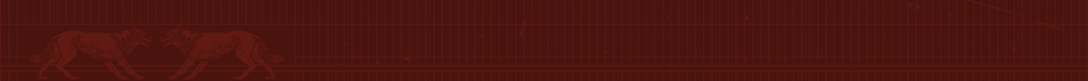 Emblem Banner