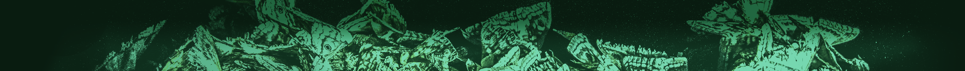 Emblem Banner