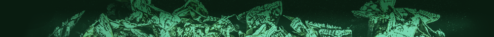 Emblem Banner