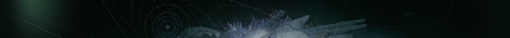 Emblem Banner