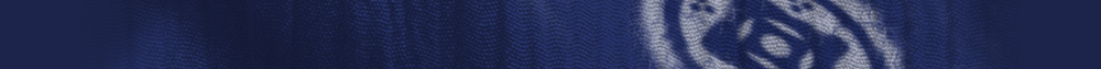 Emblem Banner