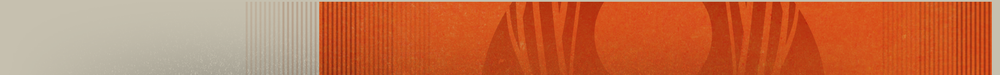 Emblem Banner