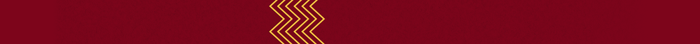 Emblem Banner