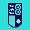 Emblem Icon