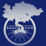 Emblem Icon