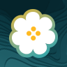 Emblem Icon