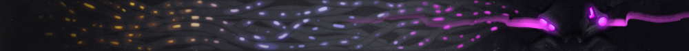 Emblem Banner