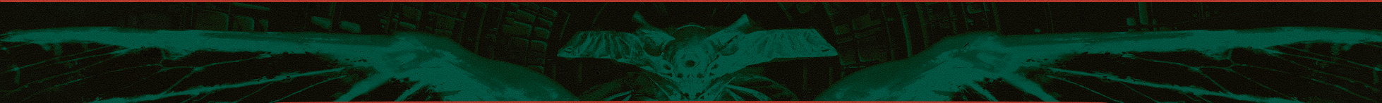 Emblem Banner